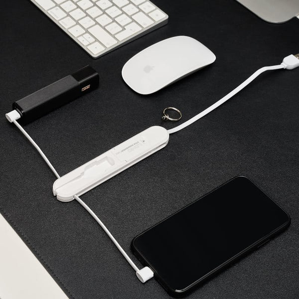 LDNIO 3-in-1 3.8A Fast Charging Cable with Keyring