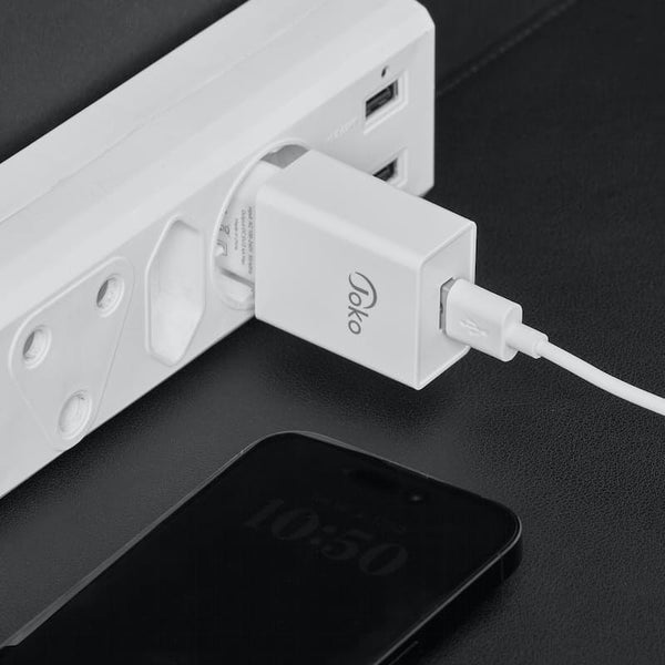 Smart Phone Fast Charger 2.4A PD Mini Charging Block with Lightning Cable