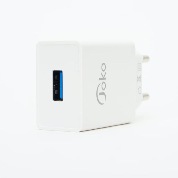 Smart Phone Fast Charger 2.4A PD Mini Charging Block with Lightning Cable