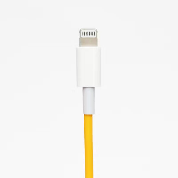 FAST CHARGING 20W Dual Port Charging Block with Type-C to Lightning Cable