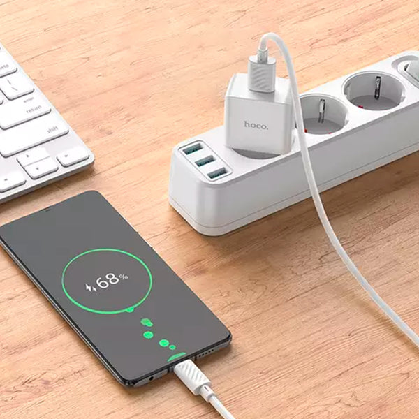 Smart Phone Charger EU Plug Adapter 10.5W with USB Type-C Cable