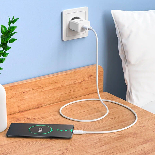 Smart Phone Charger EU Plug Adapter 10.5W with USB Type-C Cable