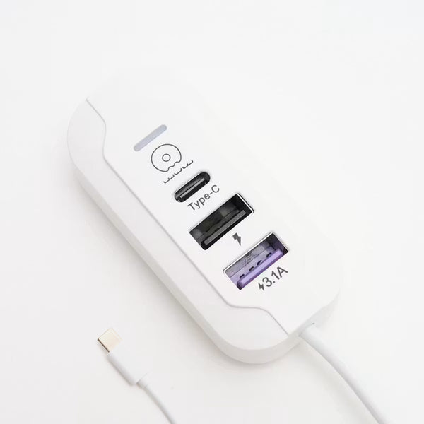 1m USB or Type-C Multi-Port Charging Cable C245 / C246